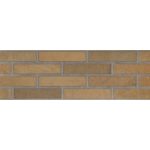 Ascot Fuego 20x60