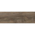 Rainforest Nogal 20x60