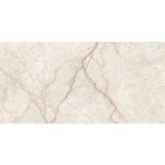 Champagne Glossy (3631) 30x60