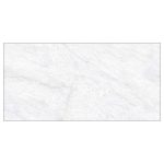 Stone Light Grey Glossy (3519) 30x60
