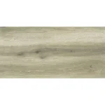 Forest Birch 30x60