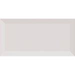 Biselado Gris 10x20 BX