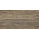 Tizura Brown 30x60