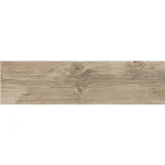 Foresta Brown 20x60