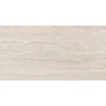 Pantheon Evolution Ebur Veincut Mate 60x120