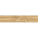 Giornata Oro 11x60