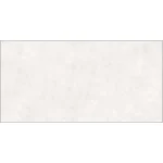 E-Cement Gray 60×120